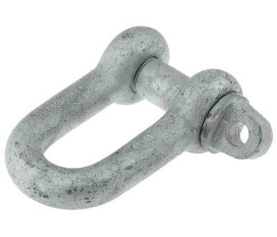 Product image for Galvanised steel D shackle w/pin,5.5ton