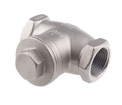 Product image for S/steel swing check valve,1in BSP F