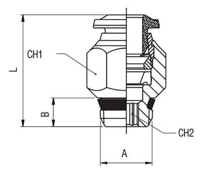 Product image for STRAIGHT MALE - BSPT 6-1/8 (50000N)