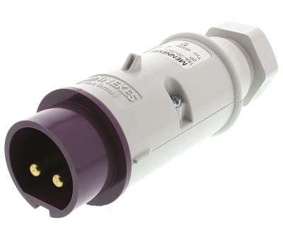 Product image for 2P GLANDED ENTRY FREE PLUG,16A 20-25V