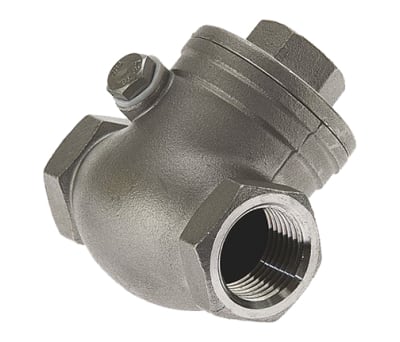 Product image for S/steel swing check valve,3/4in BSP F