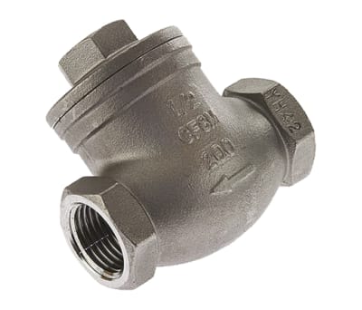 Product image for S/steel swing check valve,2in BSP F