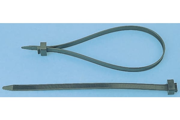 Product image for CT SERIES OF CHASSIS TIES