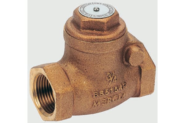 Product image for PN25 bronze check valve 1in BSPT