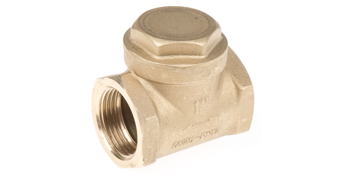 Product image for Brass swing check valve,1in BSP F