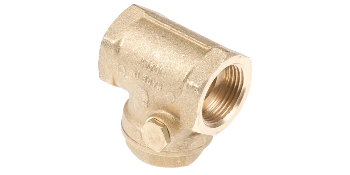 Product image for Brass swing check valve,3/4in BSP F