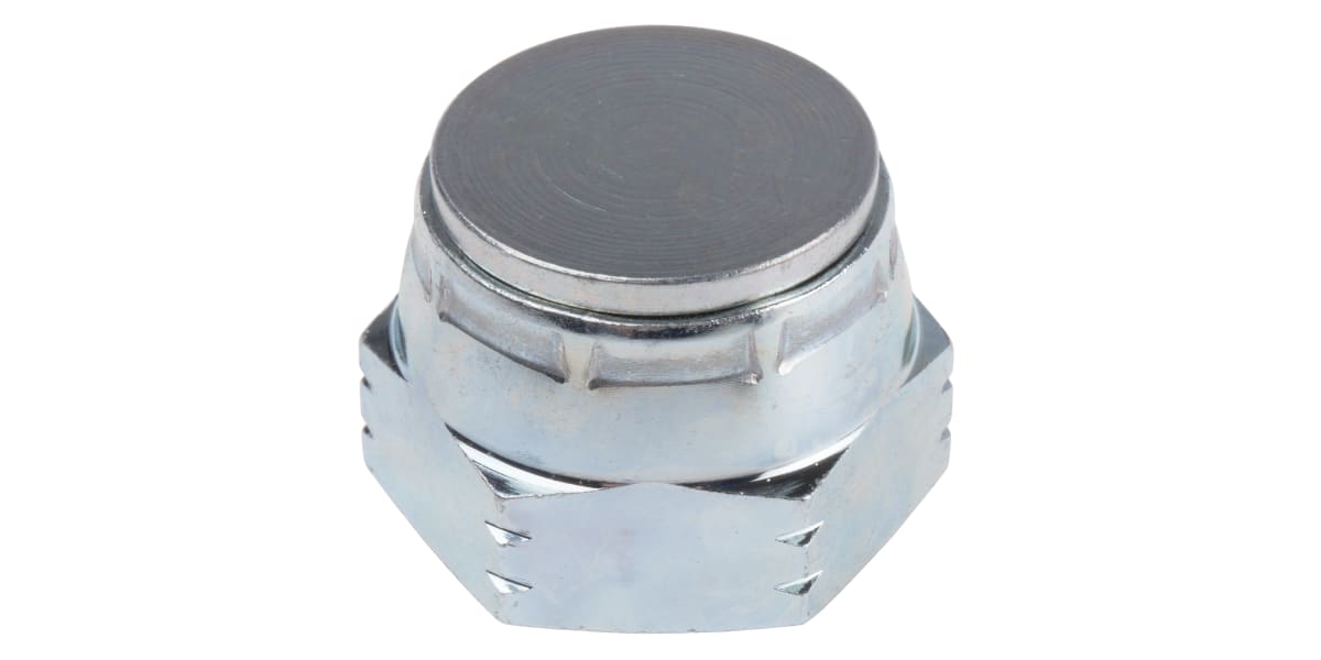 Product image for 3/4in BSPP ZnPt steel blanking cap