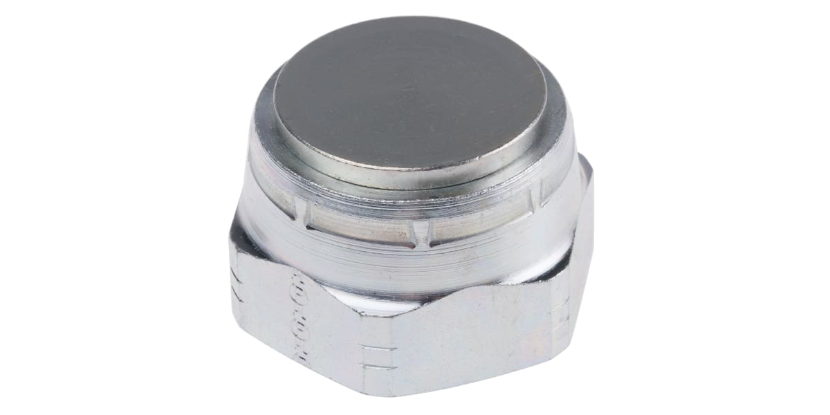 Product image for 1in BSPP ZnPt steel blanking cap