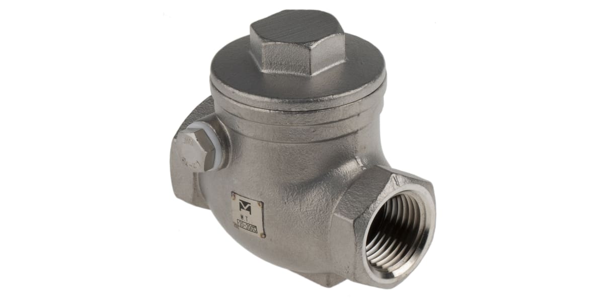 Product image for S/steel swing check valve,1/2in BSP F