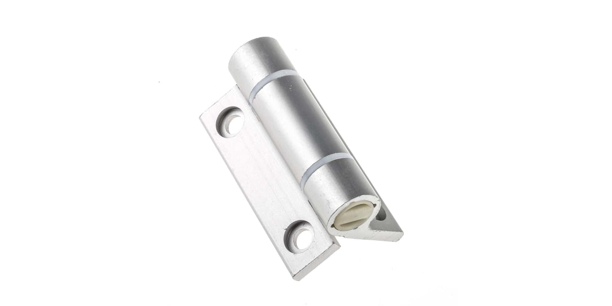 Product image for Clear spring hinge, 67x55x4.5mm