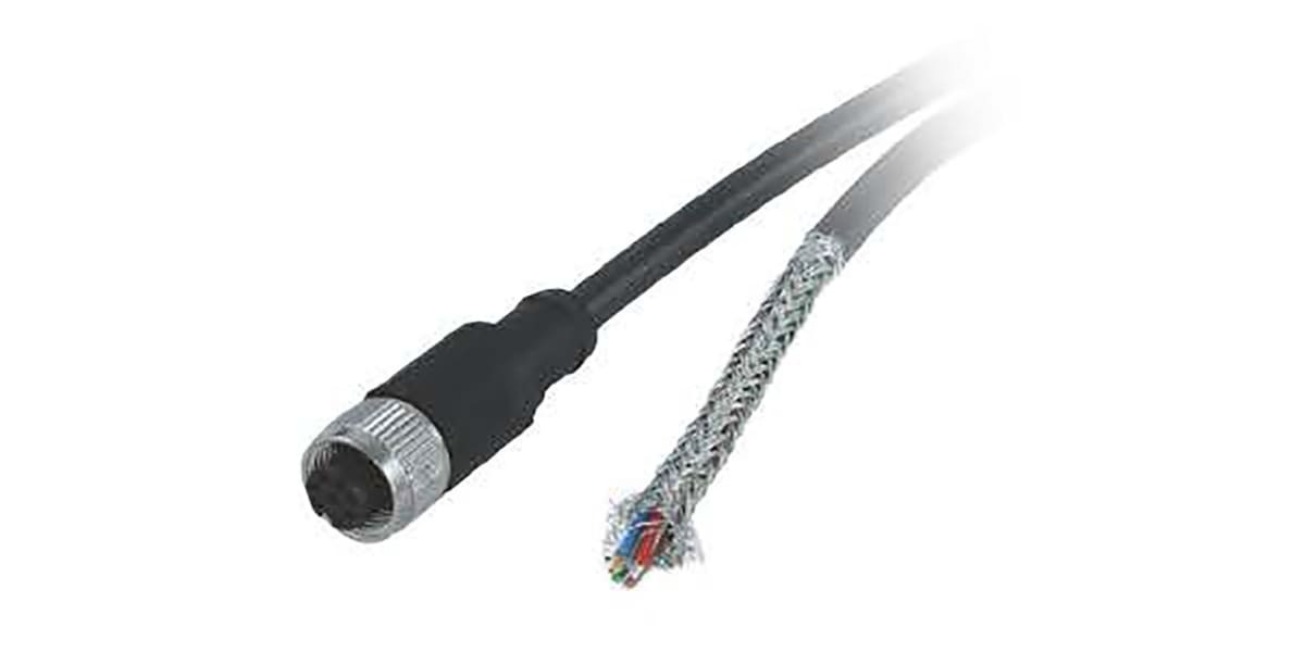 Product image for CONNECTION CABLE 2M WITH CONNECTOR M12