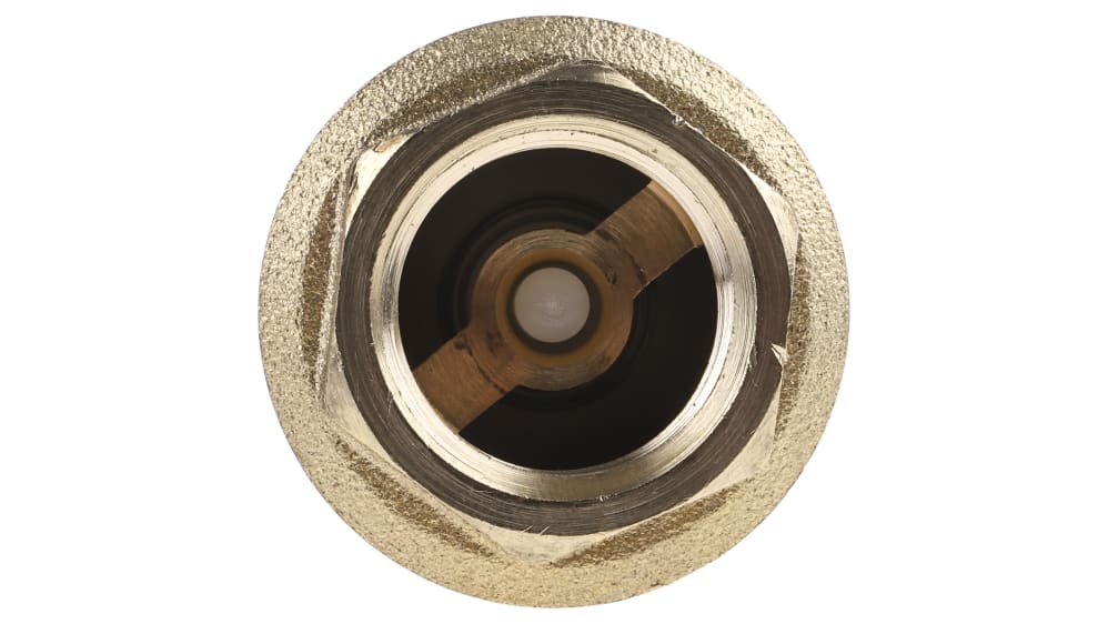 RS PRO Brass Threaded Threaded Single Check Valve 1/2 in, 12 bar | RS