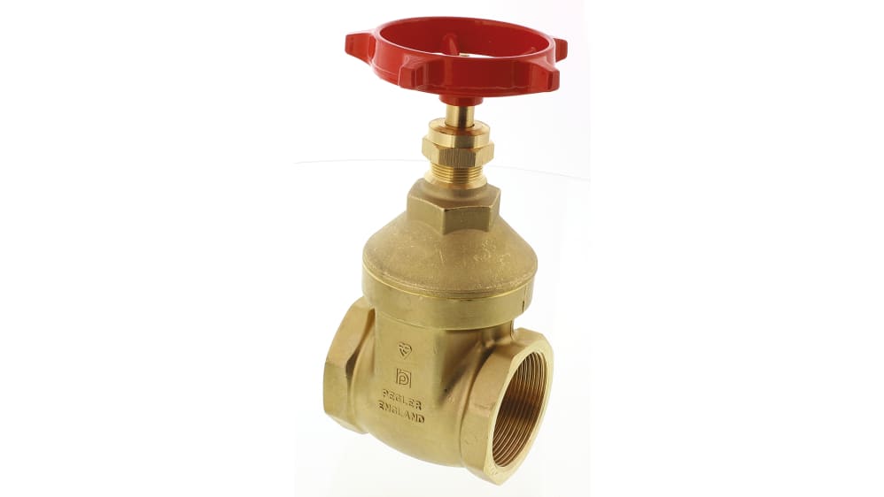ベル2 pj1 RS PRO Gate Valve 2 in, 2 in | RS