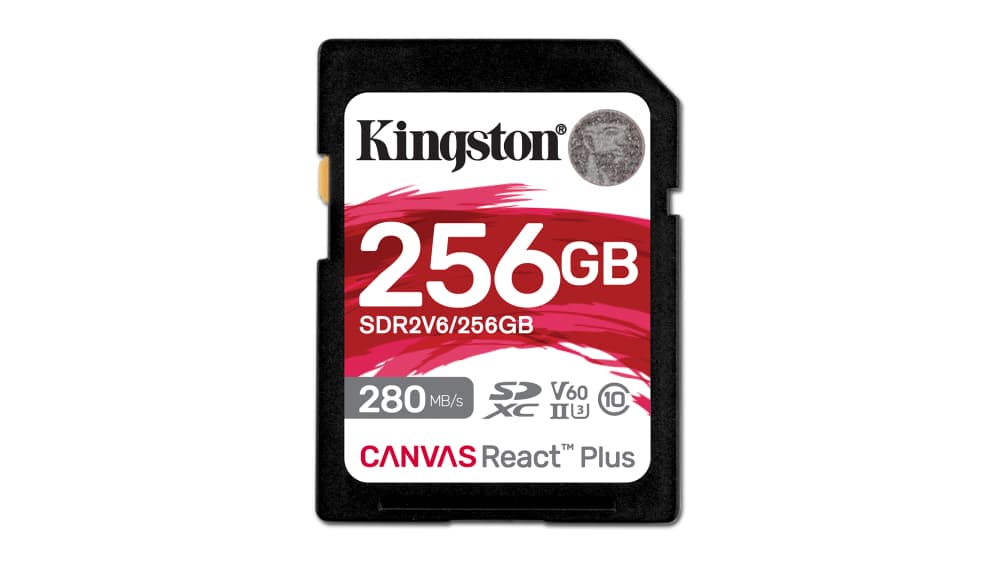 Kingston SDカード 256 GB SDXC SDR2V6/256GB,クラス：クラス10, UHS 