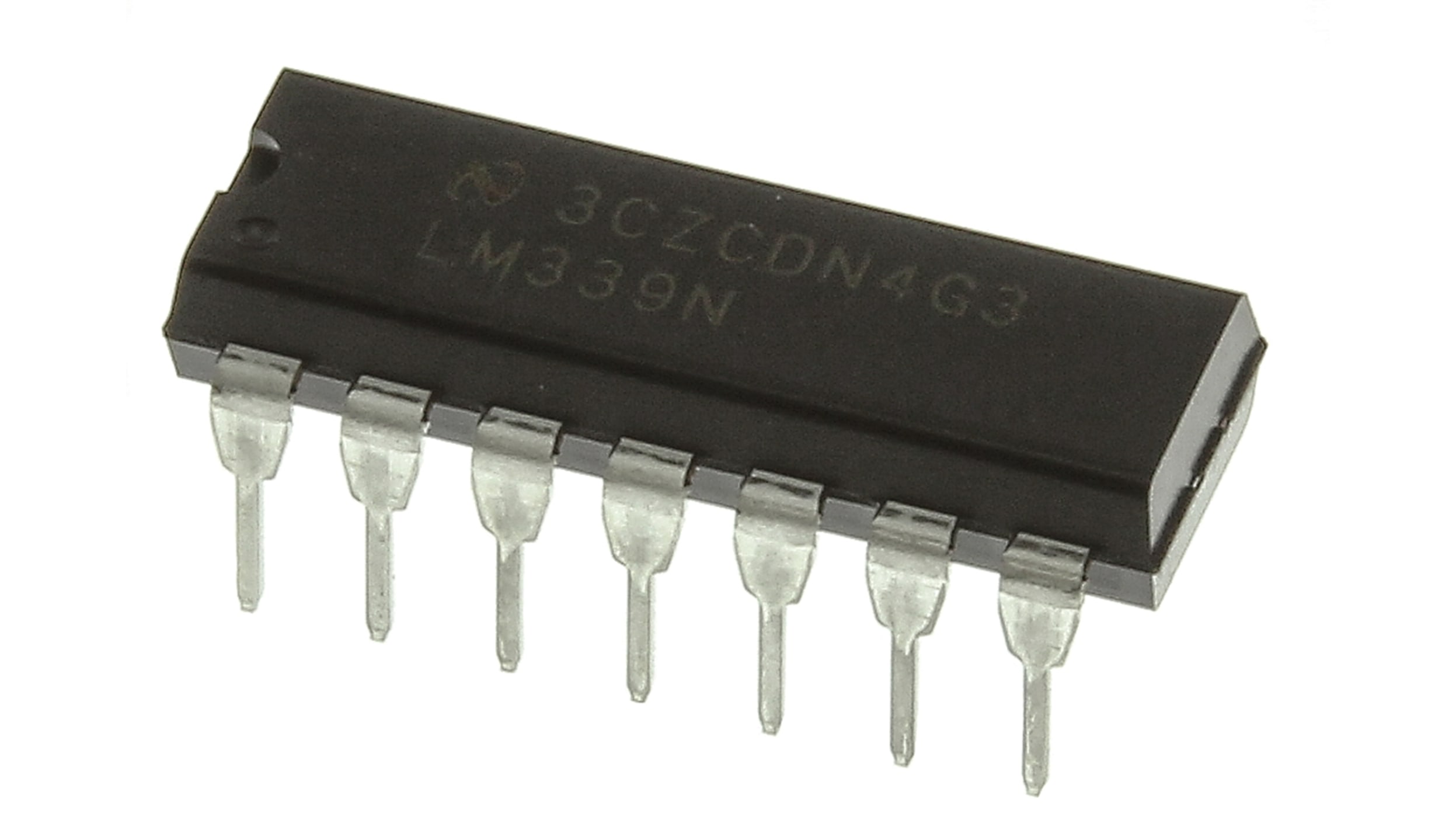 コンゴDR 大型 赤道州 トルクアタ 83mm コンゴDR 大型 赤道州 トルクアタ 83mm