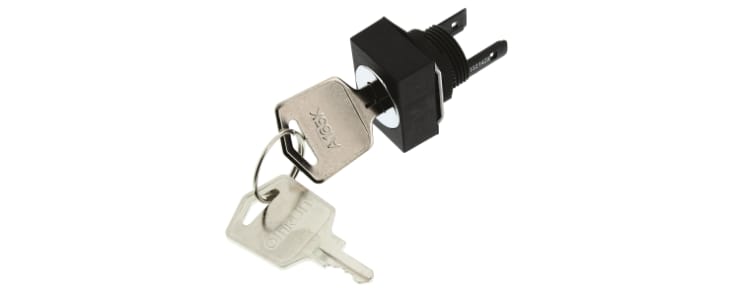 IP65 Key Switch, DPDT, 5 A @ 125 V ac 2-Way Flat-Key