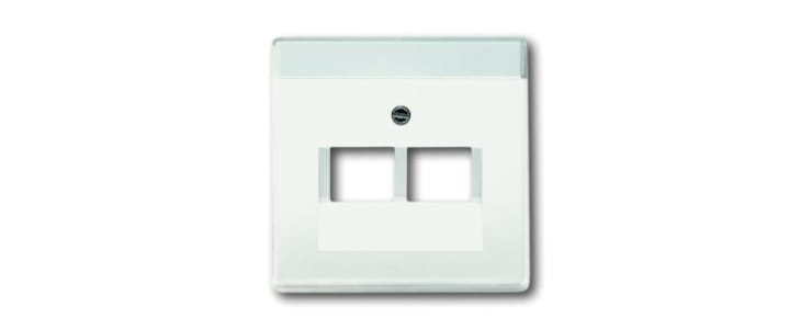 ABB White 2 Gang Plastic RJ45 Cover Plate