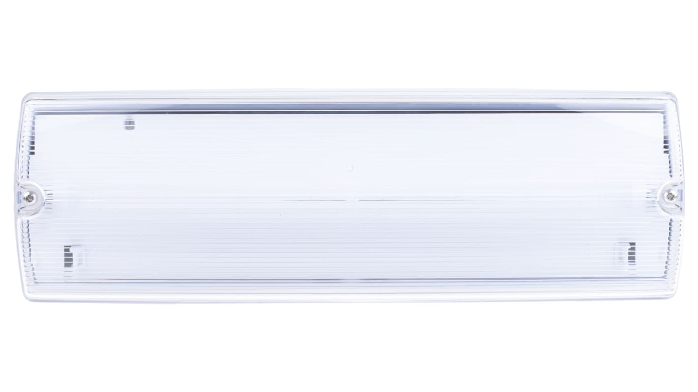 RS PRO LED  Notbeleuchtung , 230 V / 3 W 120 lm, 117 mm x 350 mm x 76 mm, IP65