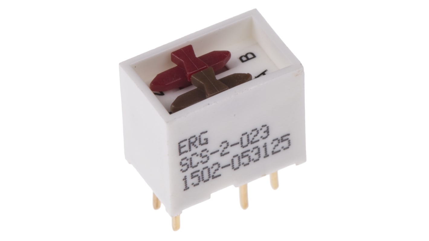 ERG 2 Way Through Hole DIP Switch DPDT