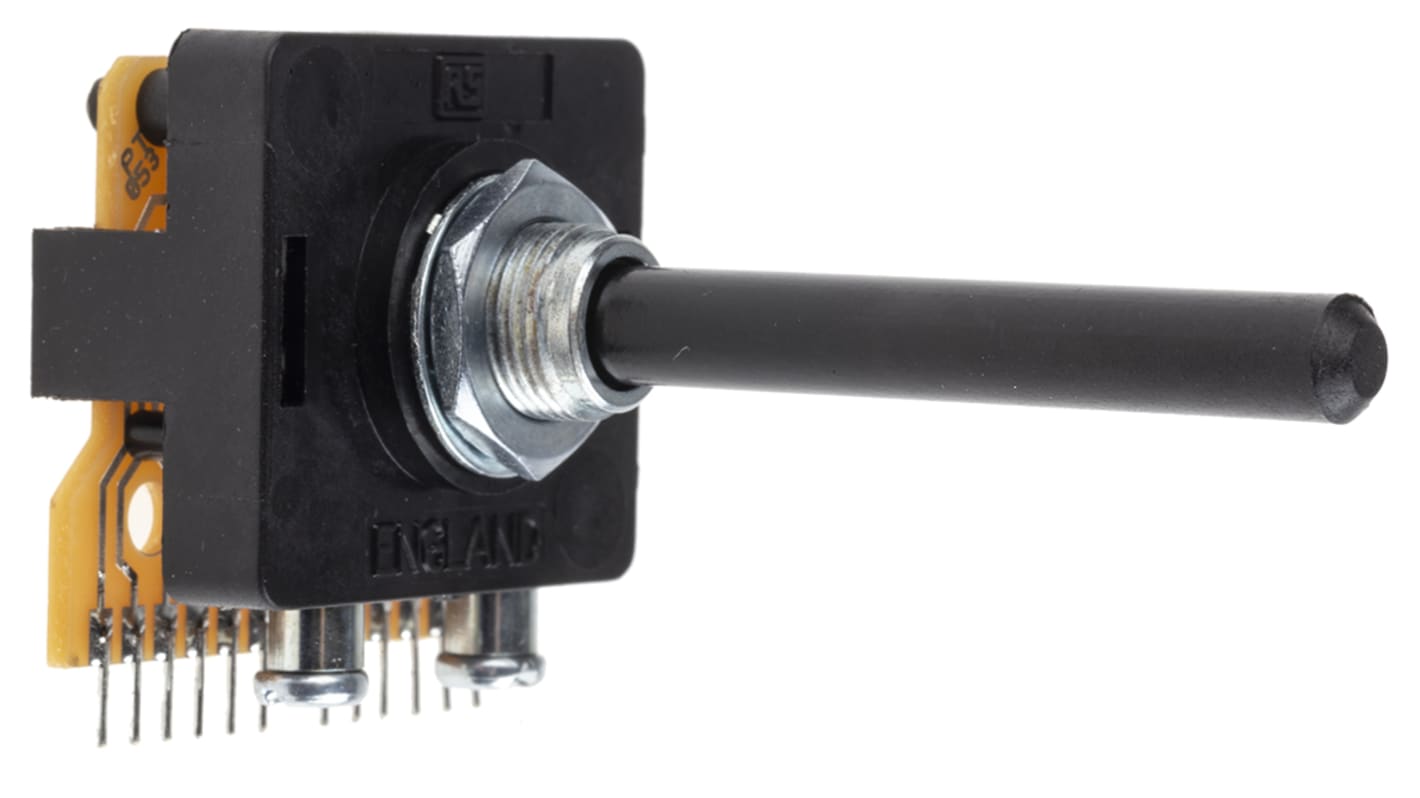 Lorlin, 2 Position Rotary Switch, 500 mA @ 250 V, Through Hole