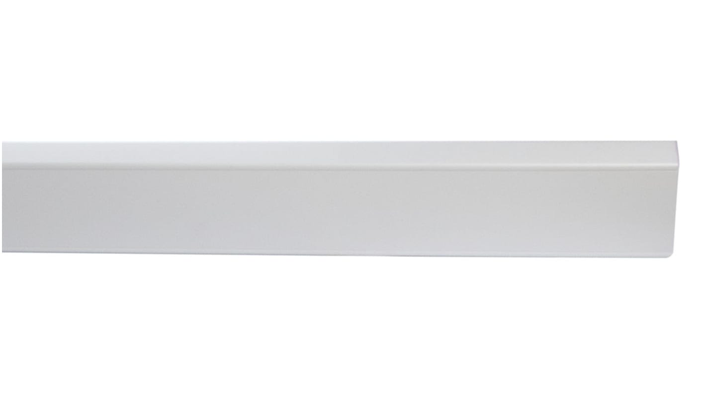 Schneider Electric CT White Dado Trunking - Closed Slot, W100 mm x D40mm, L3m, uPVC