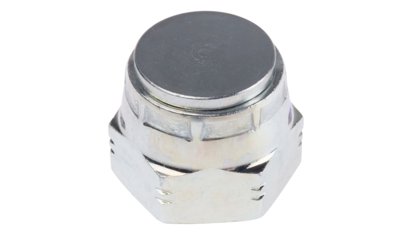 1/2in BSPP ZnPt steel blanking cap