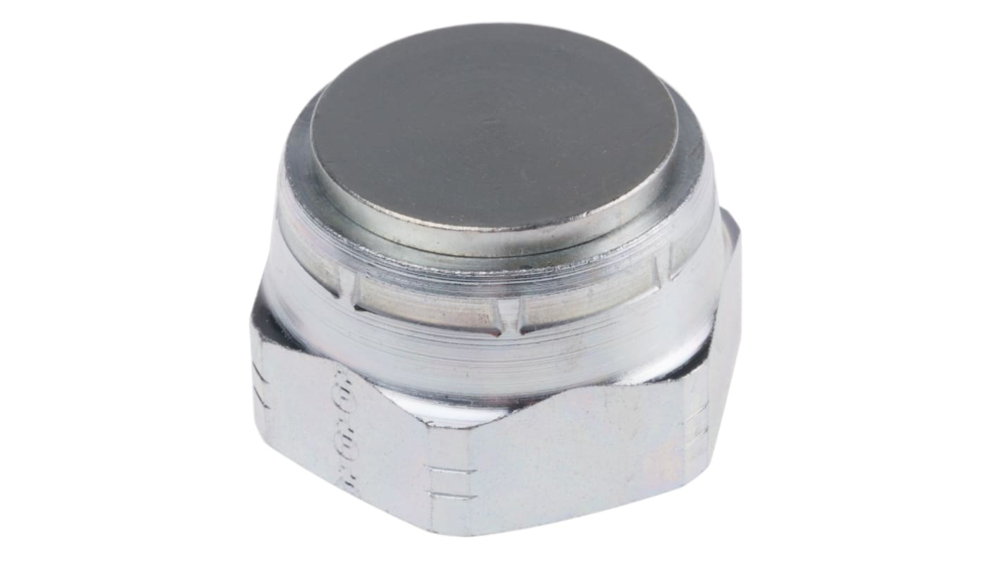 G 1 Steel Hydraulic Blanking Cap, 210 bar Max Operating Pressure