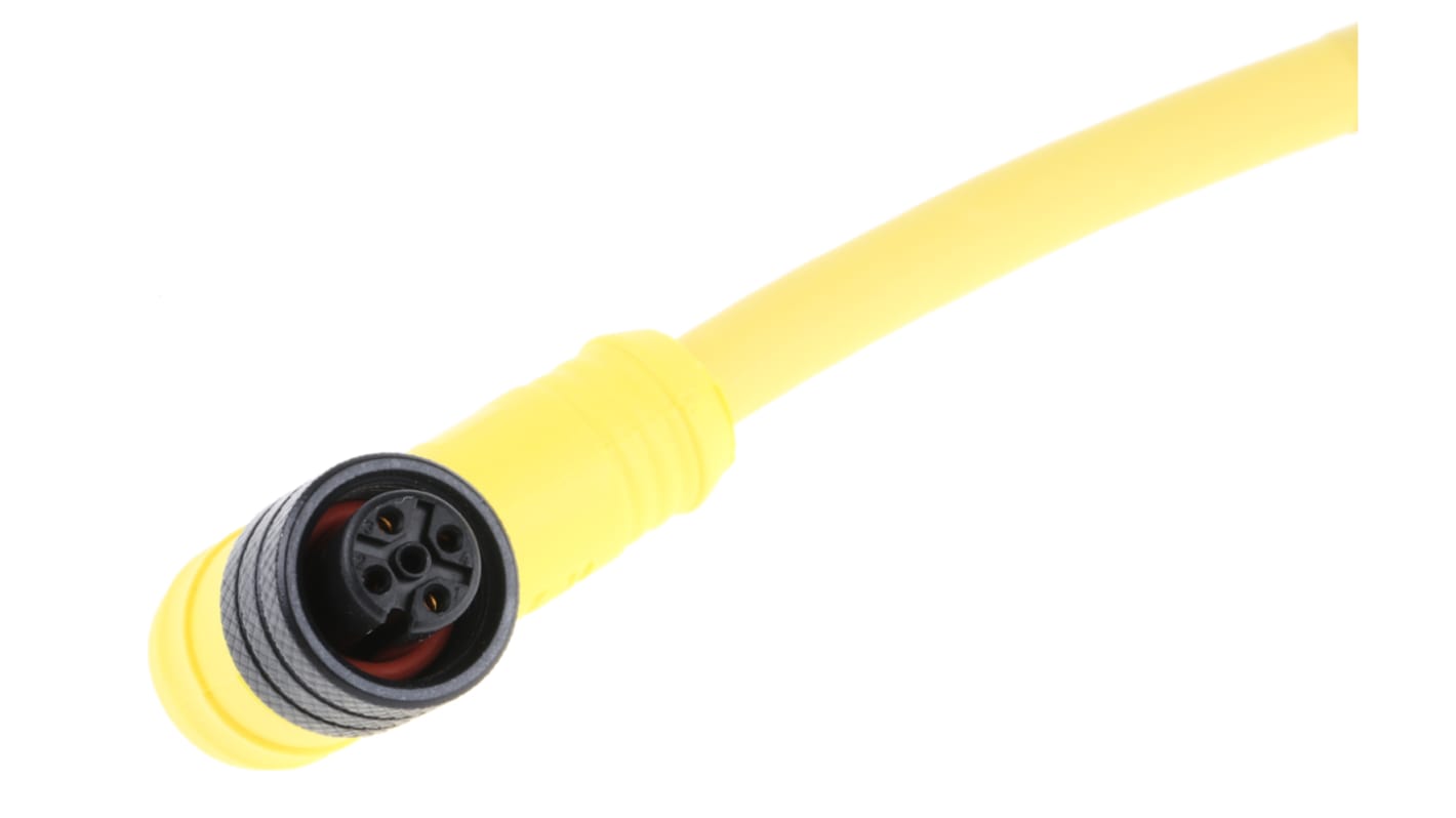 Brad from Molex Right Angle Male 4 way M12 to Unterminated Sensor Actuator Cable, 2m