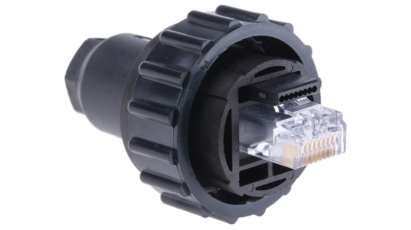 Connettore RJ45 Maschio TE Connectivity Cat5, Cat5e, Montaggio su cavo