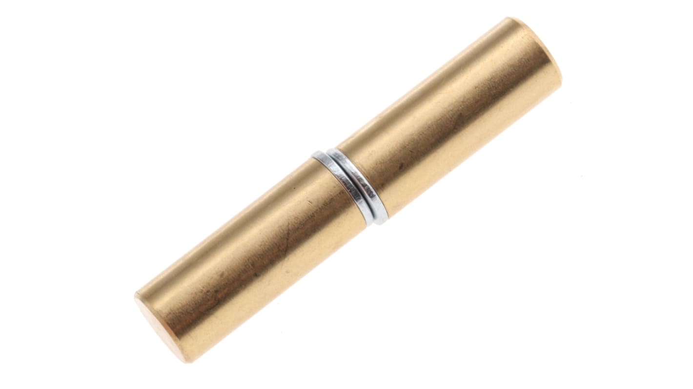 Eclipse Neodymium Magnet 2.5kg, Length 20mm, Width 8mm