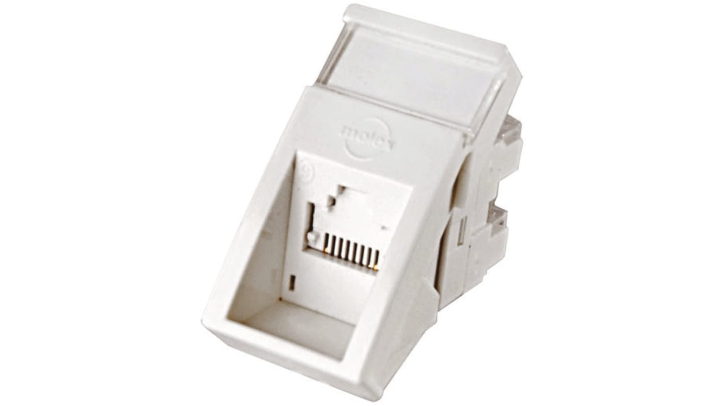 Prise de téléphone PowerCat Molex Premise Networks Blanc