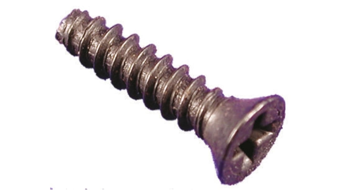 1591TS100BK Hammond Self Tapping Screw RS