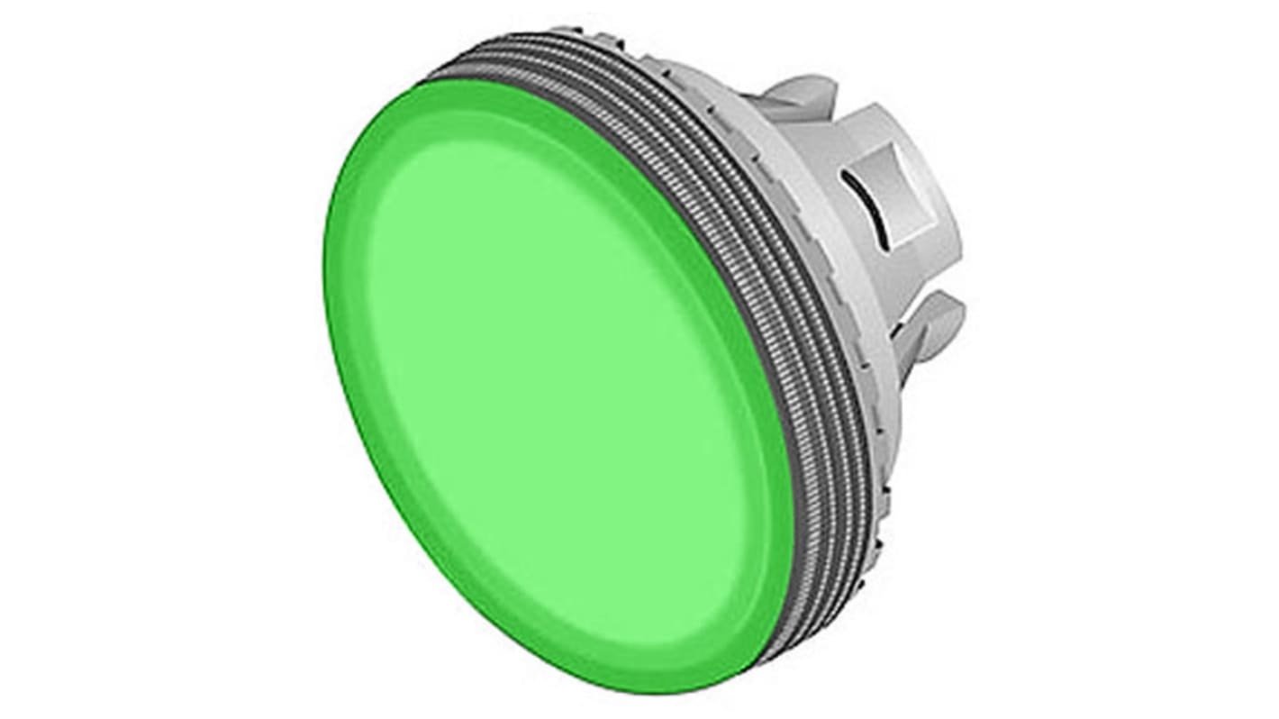 EAO Modular Switch Lens for Use with 84 Series