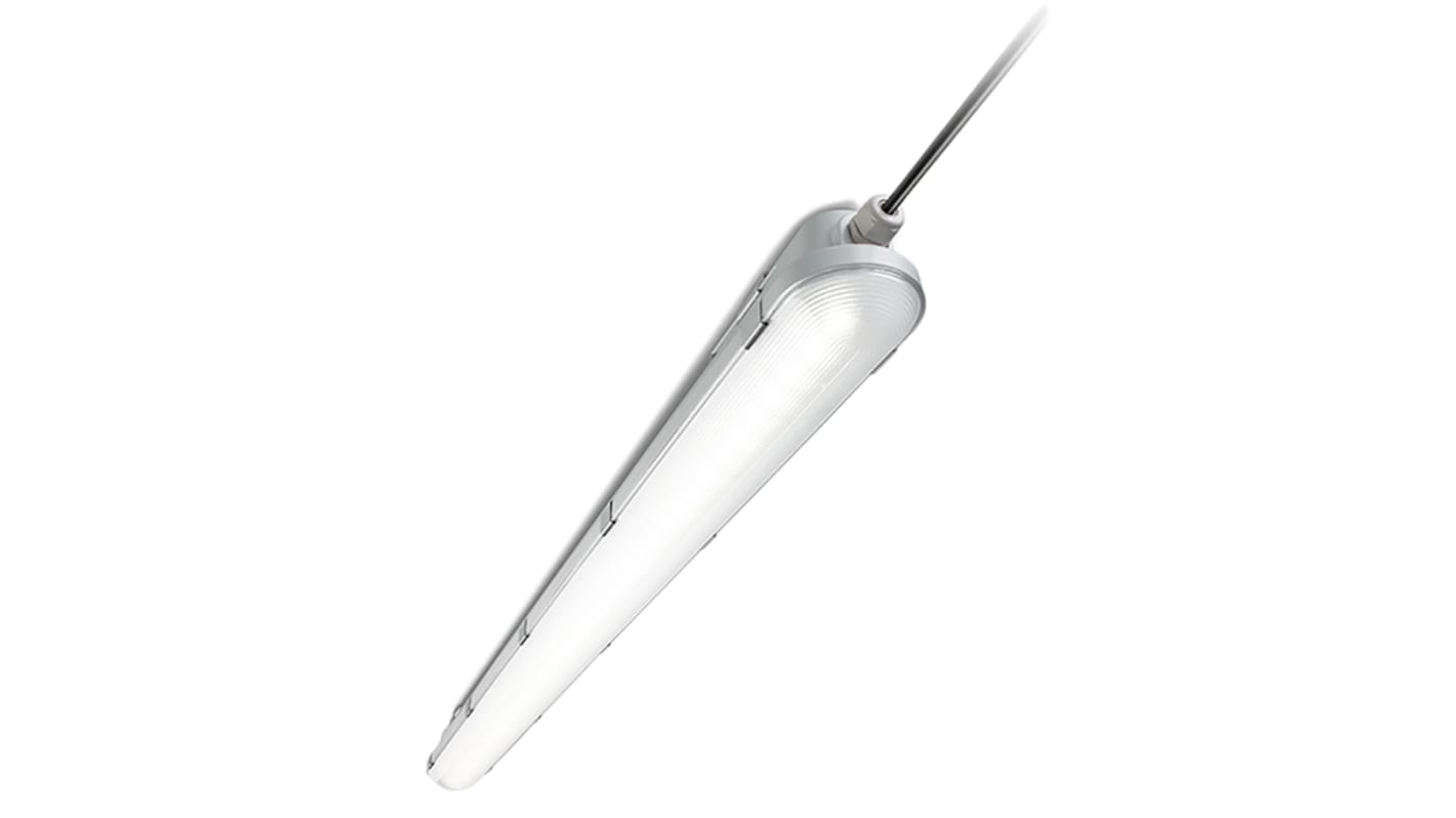 Philips Lighting LED Notbeleuchtung, 240 V / 19 W, 87 mm x 600 mm x 96 mm