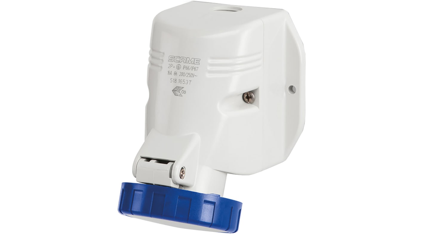 Scame IP67 Blue Wall Mount 2P+E Industrial Power Socket, Rated At 64A, 230.0 V