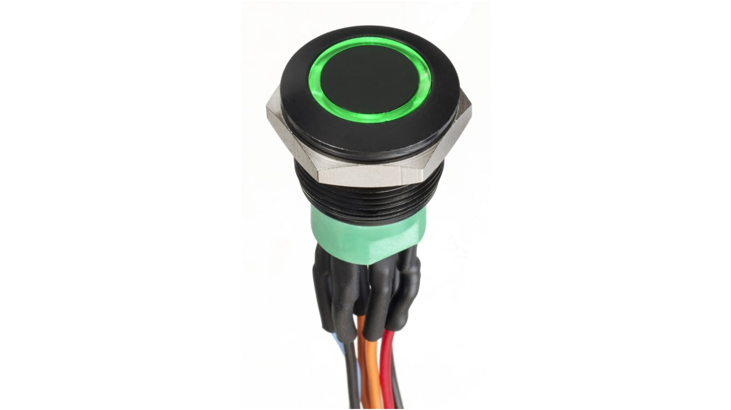 APEM Illuminated Push Button Switch, Momentary, Panel Mount, 19.2mm Cutout, DPDT, Green LED, 30V dc, IP67