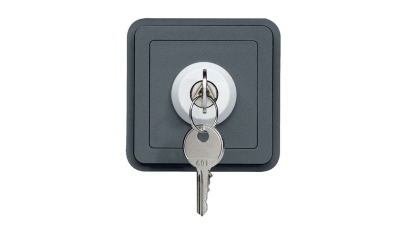 Hager Key Switch -