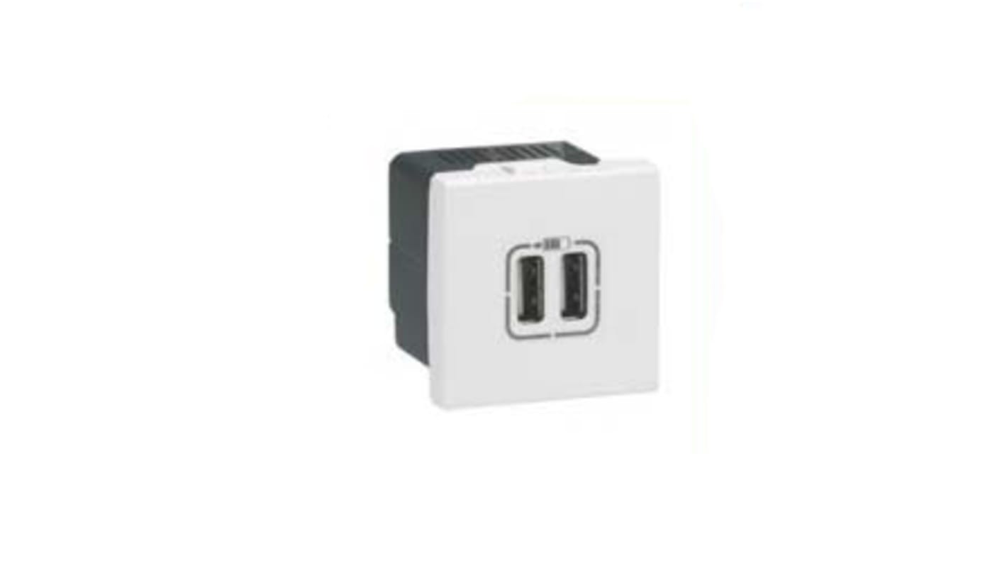 Mosaic twin USB socket insert