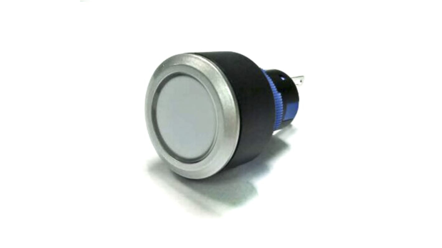 RS PRO Illuminated Push Button Switch, Panel Mount, 22.2mm Cutout, DPDT, 250V ac, IP65