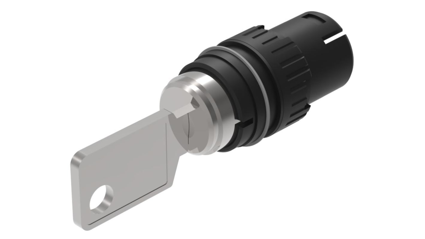 EAO IP65 Keylock Switch, 5 A 2-Way Standard-Key
