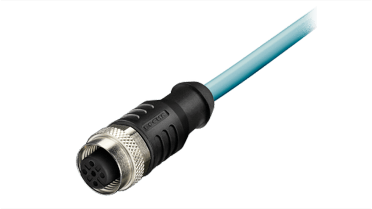 Cable de conexión Kübler, con. A M12 Hembra, 5 polos, con. B Sin terminación, long. 2m, IP67