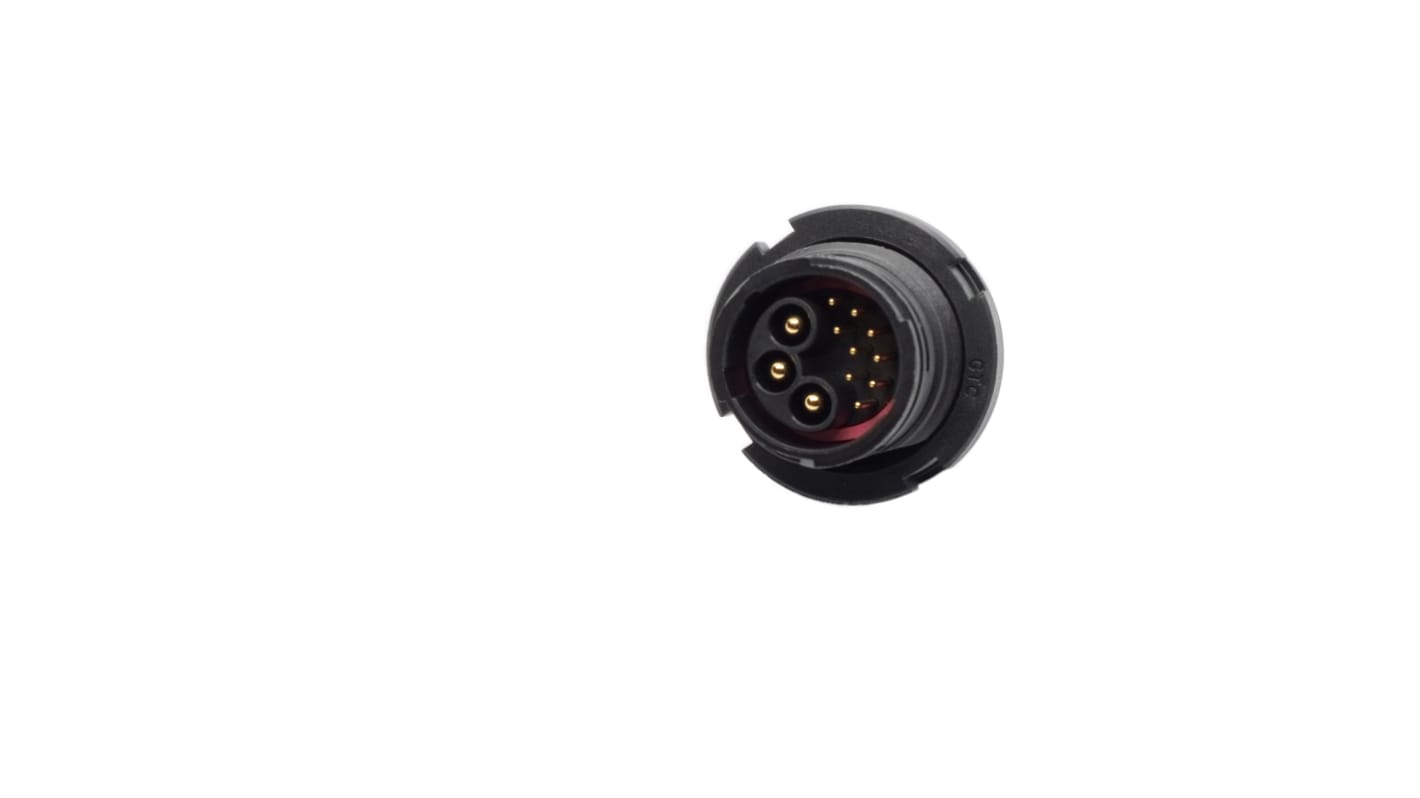 RS PRO Circular Connector, 12 Contacts, Panel Mount, C5 Connector, Plug, Male, IP67