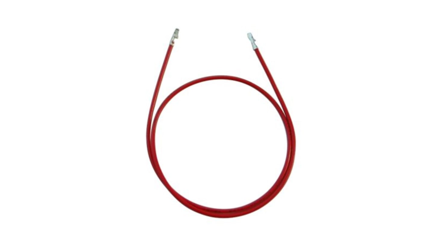 RS PRO Female DF11 to Female DF11 Crimped Wire, 300mm, 0.34mm², Red