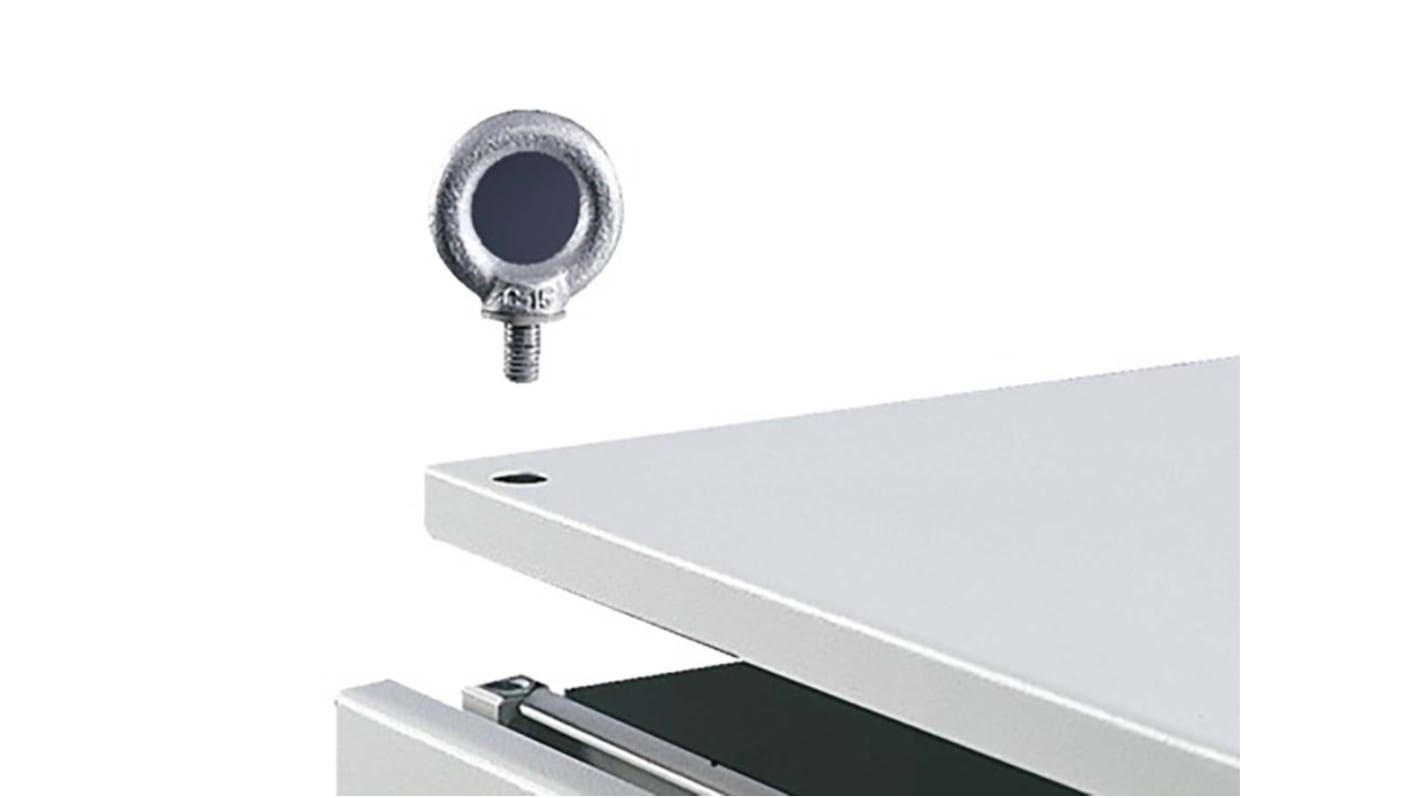 4568000 Rittal Steel Eye Bolt, M12 Thread RS