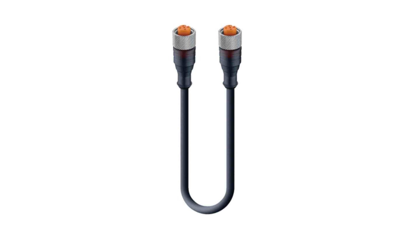 Cable de conexión Lumberg Automation, con. A M12 Hembra, 5 polos, con. B Sin terminación, cod.: A, long. 10m, 60 V, 4