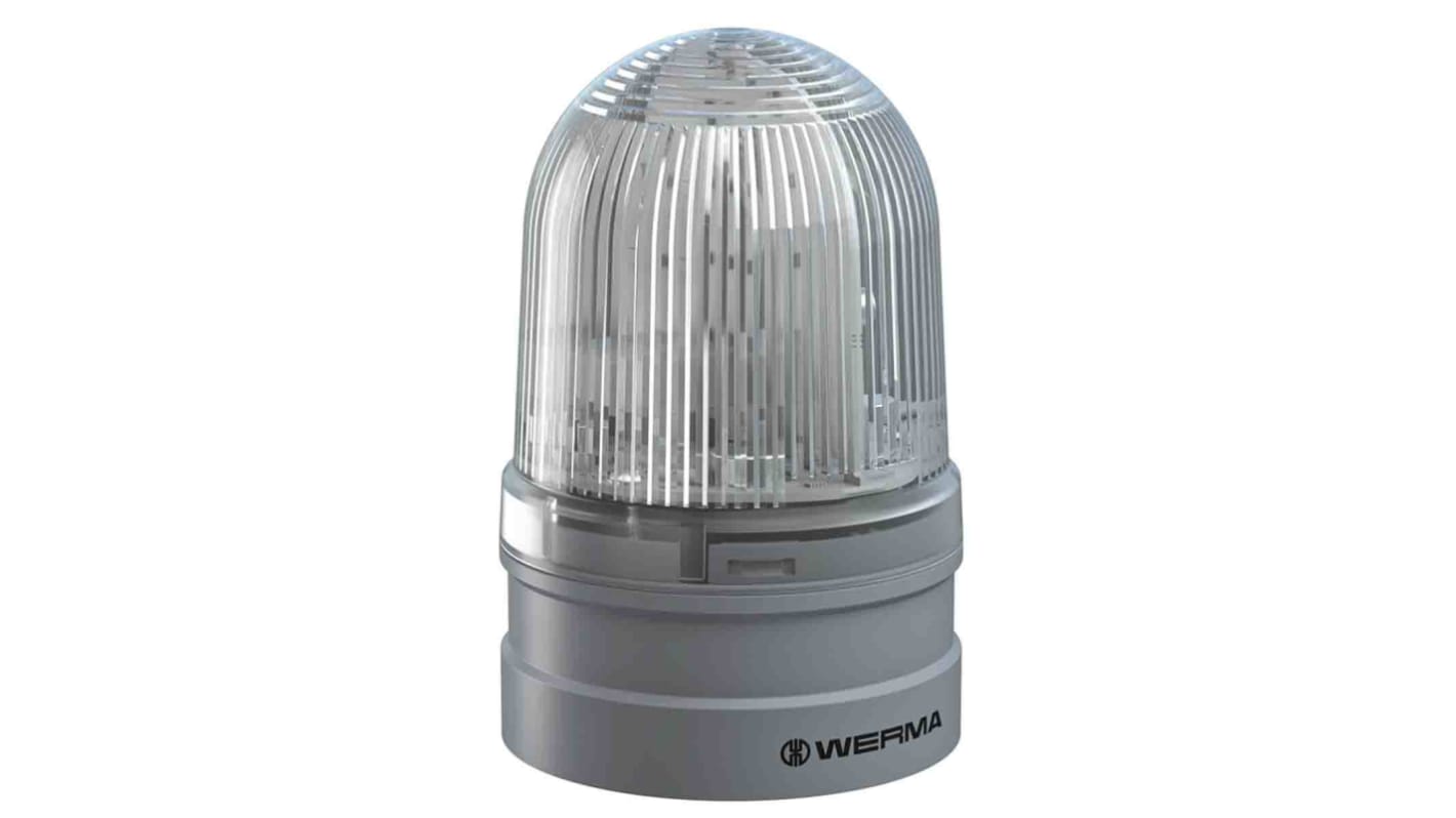 Balise à LED  blanche Werma série EvoSIGNAL Midi, 115 → 230 V c.a.