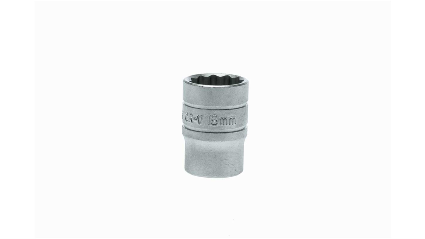 Teng Tools 1/2 in Drive 19mm Standard Socket, 12 point, 38 mm Overall Length