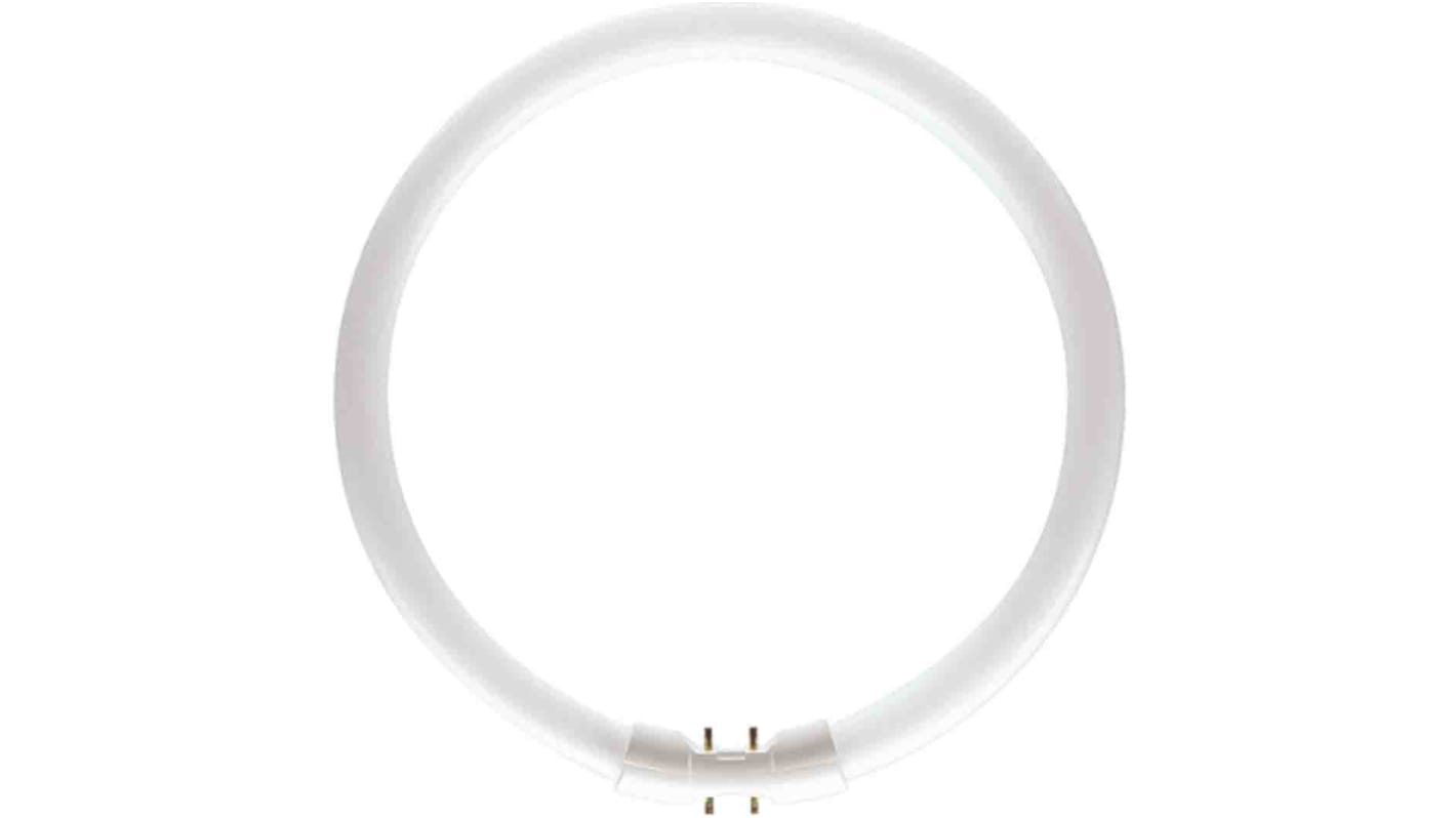 Philips Lighting 22 W TL5 Circular Fluorescent Tubes, 1800 lm, 2GX13