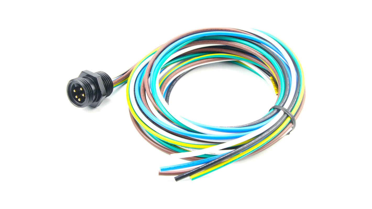 Brad from Molex Straight Male 5 way 7/8 in Circular to Unterminated Sensor Actuator Cable, 2m