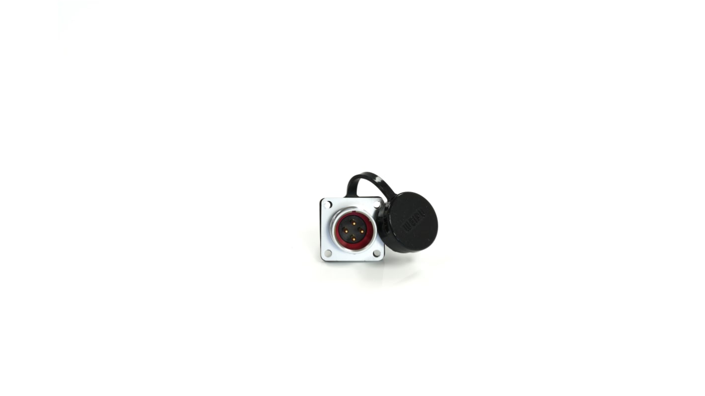 RS PRO Circular Connector, 4 Contacts, Panel Mount, M16 Connector, Plug, Male, IP67